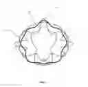 Fig. 08 - Non-circular golf ball dimple plan shapes and methods of making same