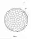 Fig. 13 - Golf ball dimple plan shapes and methods of generating same