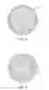 Fig. 05 - Golf ball covers made from plasticized thermoplastic materials