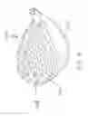 Fig. 10 - Multi-material golf club head