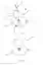 Fig. 02 - DEVICE TO PRACTICE BALL KICK-UPS