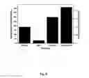 Fig. 09 - Loading nucleic acids onto substrates