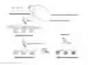 Fig. 01 - Gel patterned surfaces