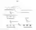Fig. 02 - Gel patterned surfaces