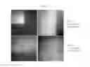 Fig. 08 - Gel patterned surfaces