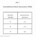 Fig. 04 - Silane mixtures