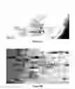 Fig. 07 - METHOD FOR HIGH THROUGHPUT DISPENSING OF BIOLOGICAL SAMPLES