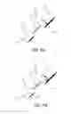 Fig. 28 - Multi-well separation apparatus and reagent delivery device