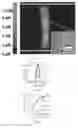 Fig. 05 - MICROFLUIDIC ELECTROKINETIC PAPER BASED DEVICES