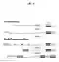 Fig. 06 - SYSTEMS AND METHODS FOR POOLING SAMPLES FROM MULTI-WELL DEVICES