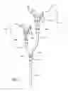 Fig. 03 - Dual-headed paint spray wand