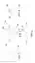 Fig. 06 - Dual-headed paint spray wand