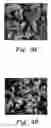 Fig. 04 - System and method for remediation of oil-contaminated sand