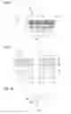 Fig. 05 - Ethylene-tetrafluoroethylene copolymer sheet and method for producing same
