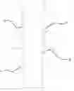 Fig. 01 - METHOD TO INSTALL A WEAR-RESISTANT POLYMER SLEEVE IN A METAL PIPE BEND STIFFENER