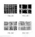 Fig. 14 - Three dimensional tissue printing device, three dimensional tissue printing method and artificial skin