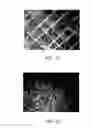 Fig. 15 - Three dimensional tissue printing device, three dimensional tissue printing method and artificial skin