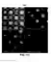 Fig. 124 - Systems and methods for fabricating three-dimensional objects