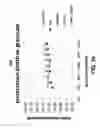 Fig. 41 - Systems and methods for fabricating three-dimensional objects