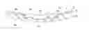 Fig. 01 - DECORATIVE MEMBER AND MANUFACTURING METHOD THEREOF