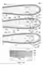 Fig. 07 - Process for inhibiting galvanic corrosion of an aluminum structure connected, without using a splice plate, to a composite structure having a fiber including graphite