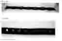 Fig. 06 - Product comprising solid adhered to elastic member