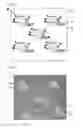 Fig. 08 - Decorated part and a method for manufacturing the same
