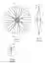 Fig. 03 - Vehicle wheel spoke connection