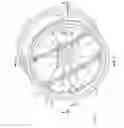 Fig. 07 - Illuminated vehicle wheel