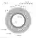 Fig. 04 - Non-pneumatic tire