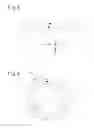 Fig. 06 - Tire