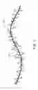 Fig. 06 - Methods and systems for controlling vehicle body motion and occupant experience