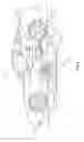Fig. 08 - Electric contact device for electric vehicles and method of use
