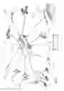 Fig. 03 - Electric vehicle optical charging system and method of use