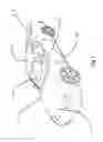 Fig. 02 - Floating armature