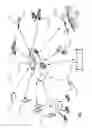 Fig. 03 - Floating armature