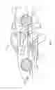 Fig. 08 - Floating armature
