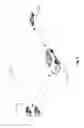 Fig. 11 - Floating armature