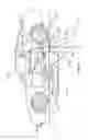 Fig. 27 - Floating armature