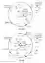 Fig. 12 - Coil coverage
