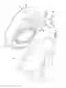 Fig. 02 - Illuminating device capable of uniformly diffusing light beams and side view mirror assembly including same