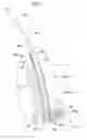 Fig. 09 - Vehicle occupant protection device
