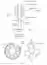 Fig. 04 - Electric power assisted steering system