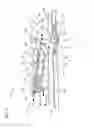 Fig. 12 - Multifunction thruster assembly for watercraft