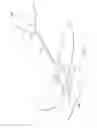 Fig. 09 - System for aligning a propeller
