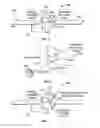 Fig. 05 - Energy efficient satellite maneuvering