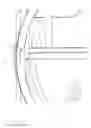 Fig. 16 - Clamshell case for holding medicine and a medicine applicator
