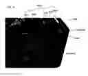 Fig. 20 - FOLDING CONTAINER
