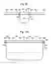 Fig. 07 - Versatile rectangle container lid