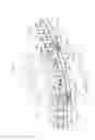 Fig. 07 - Conveying device